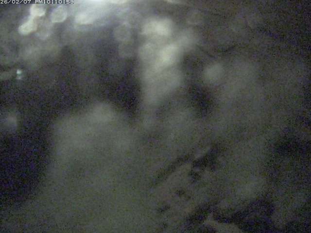 取得できませんでした