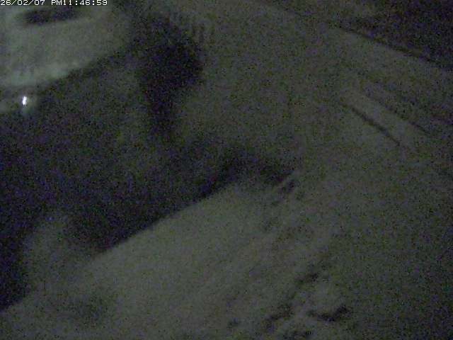 取得できませんでした