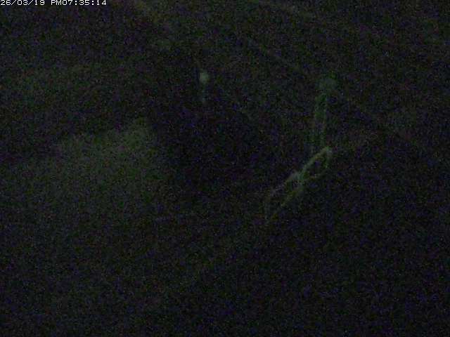 取得できませんでした