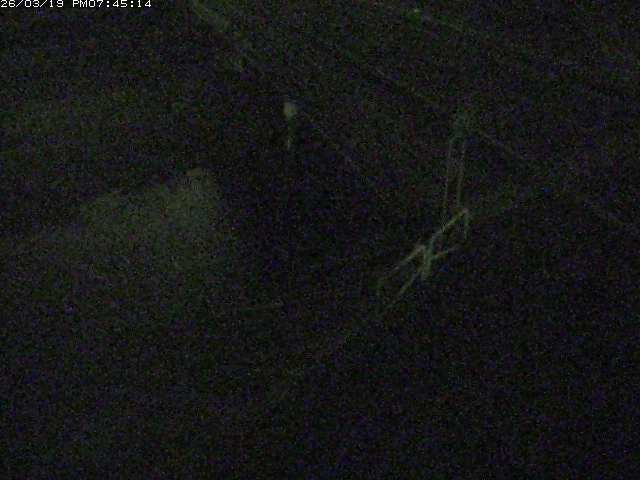 取得できませんでした