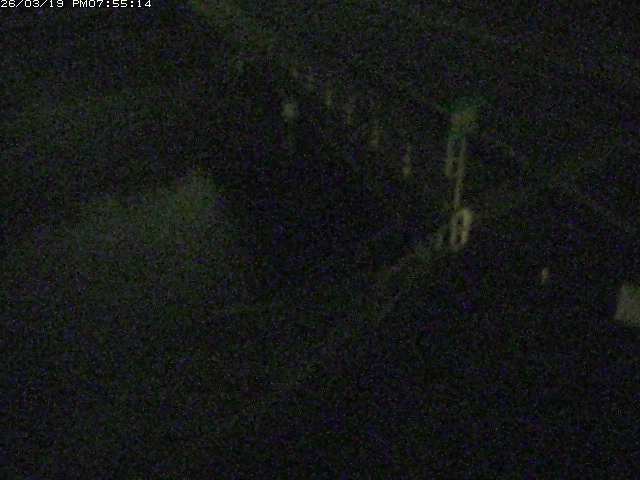 取得できませんでした