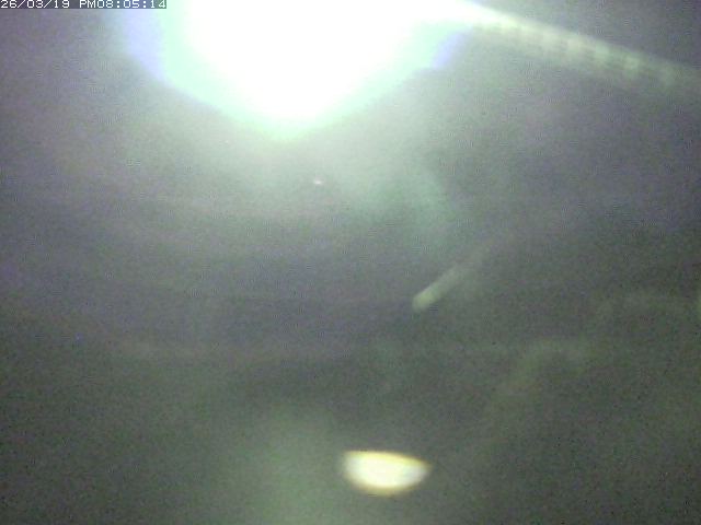 取得できませんでした