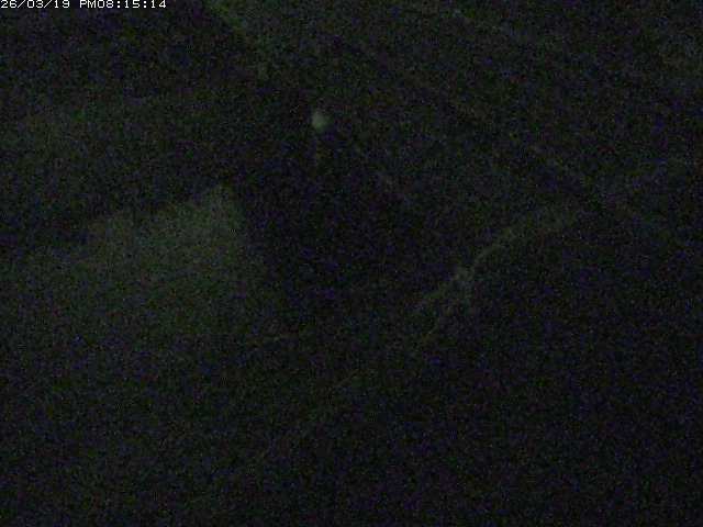 取得できませんでした