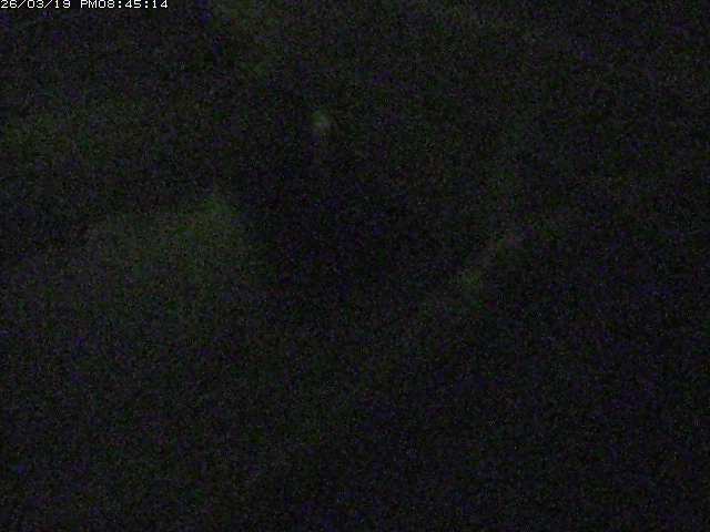 取得できませんでした