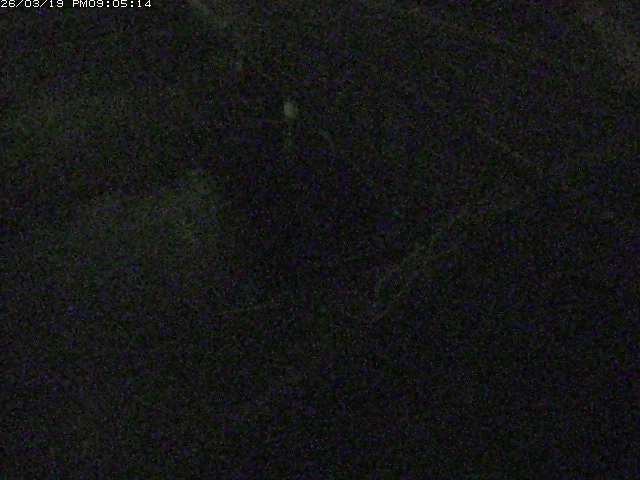 取得できませんでした