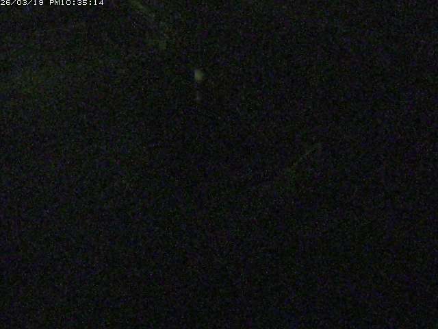 取得できませんでした