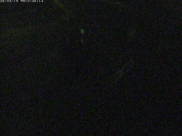 取得できませんでした