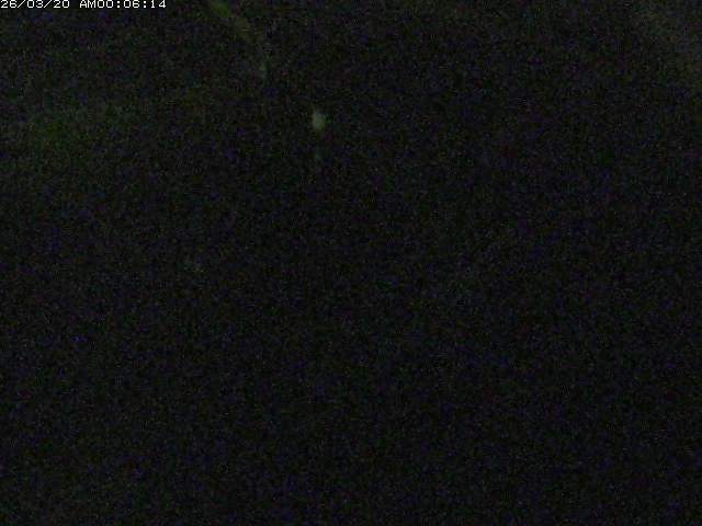 取得できませんでした