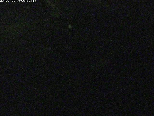 取得できませんでした