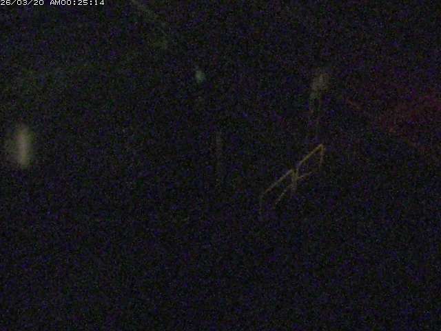 取得できませんでした