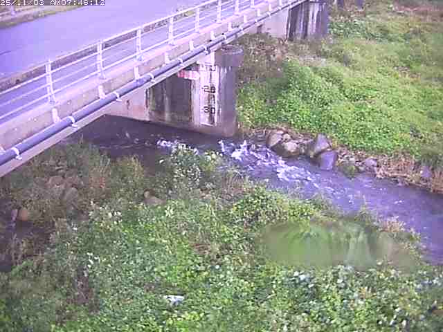 取得できませんでした