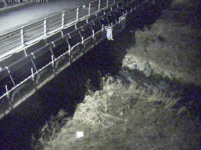 取得できませんでした