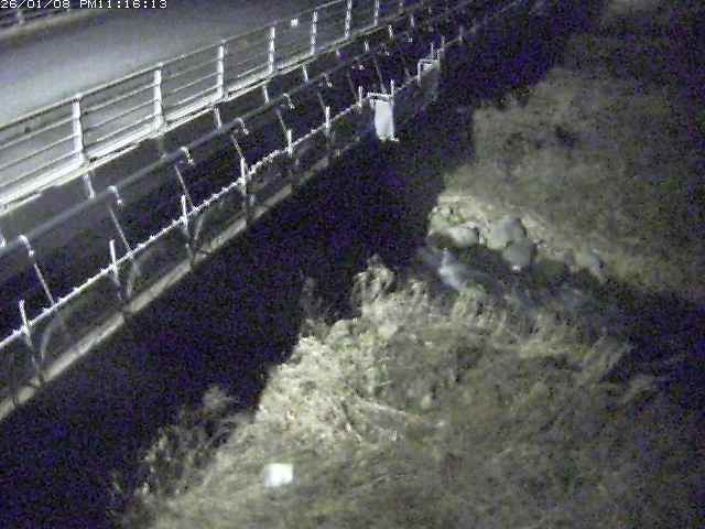 取得できませんでした