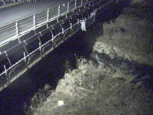 取得できませんでした