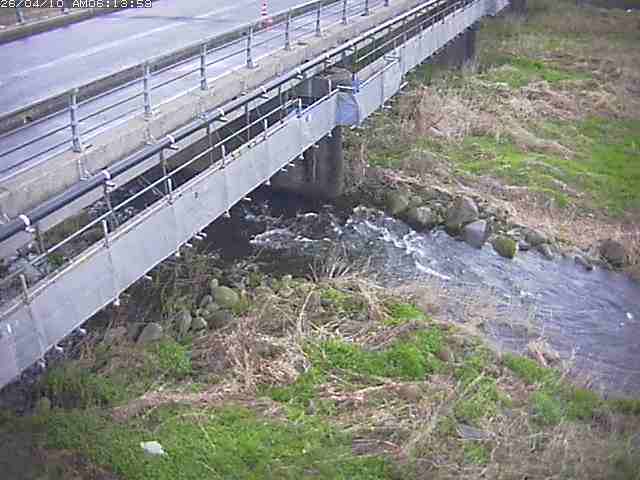 取得できませんでした