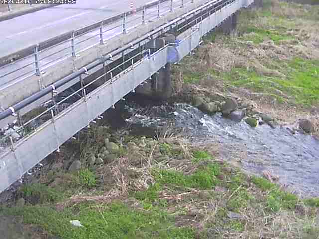 取得できませんでした