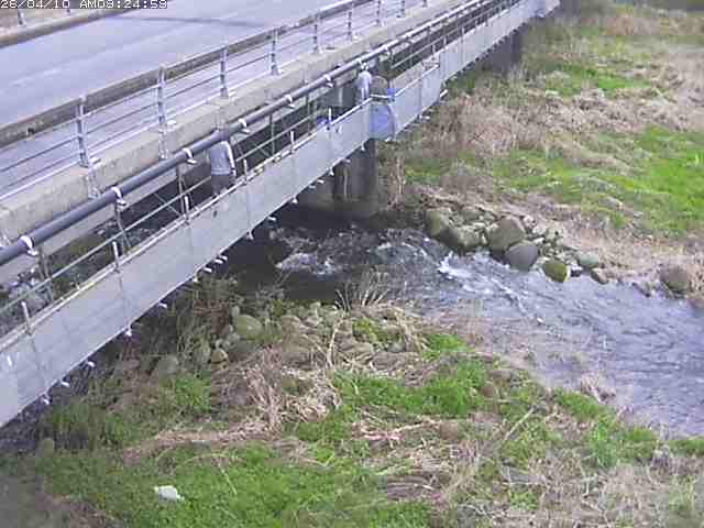 取得できませんでした