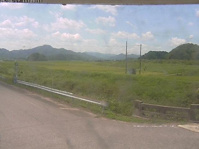 取得できませんでした