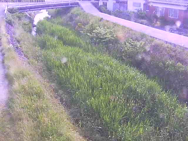 取得できませんでした