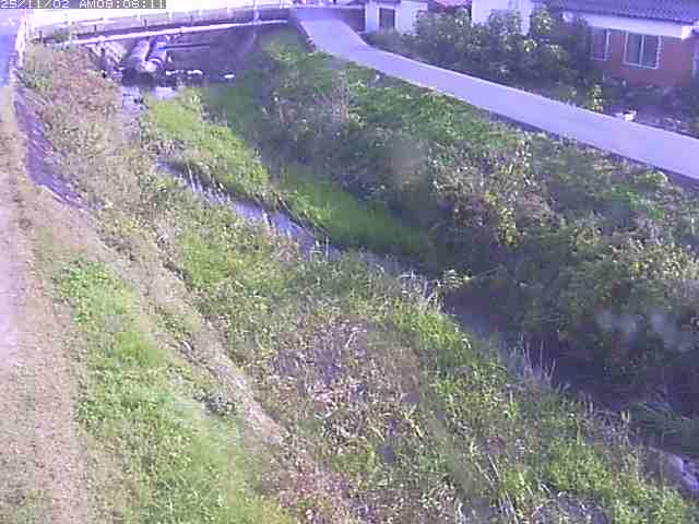 取得できませんでした