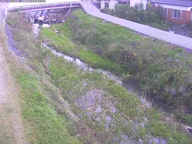 取得できませんでした