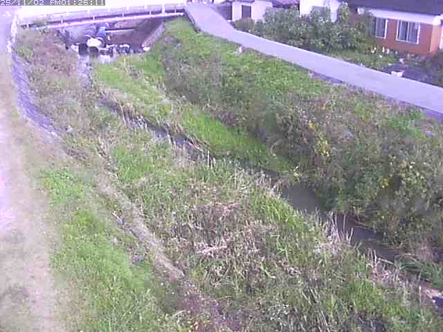 取得できませんでした