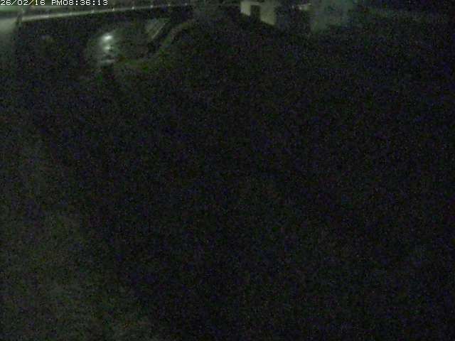 取得できませんでした