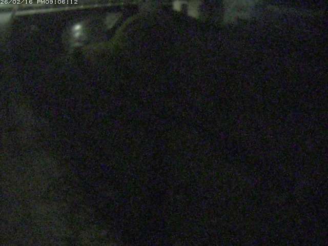 取得できませんでした