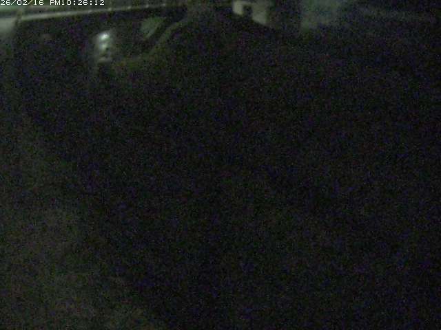 取得できませんでした