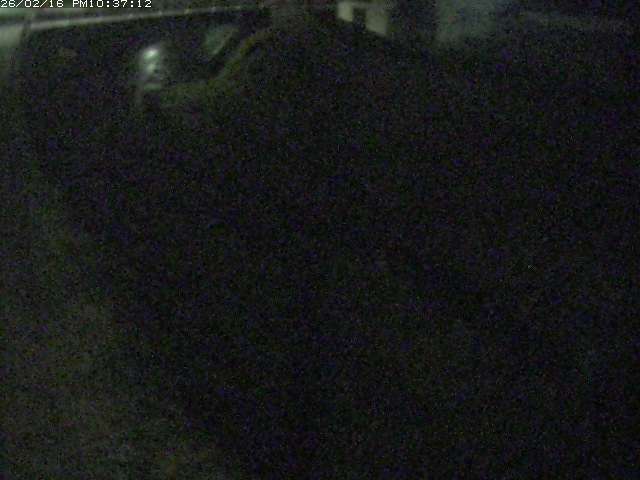 取得できませんでした