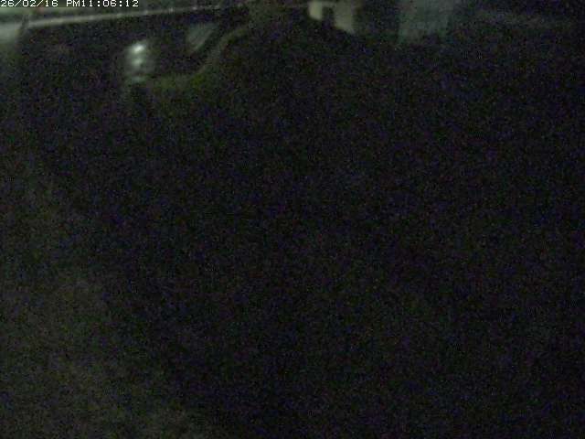 取得できませんでした