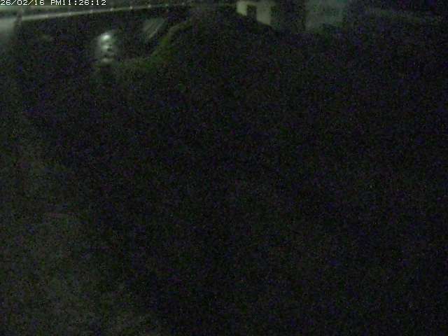 取得できませんでした