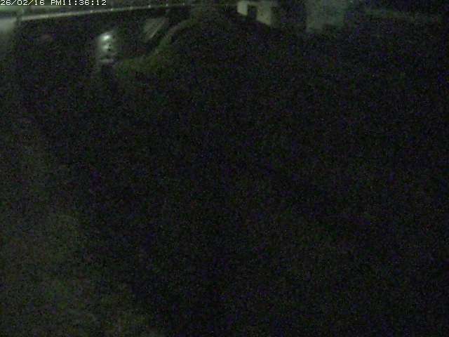 取得できませんでした