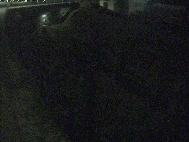 取得できませんでした