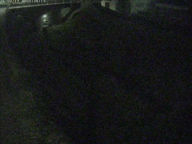 取得できませんでした