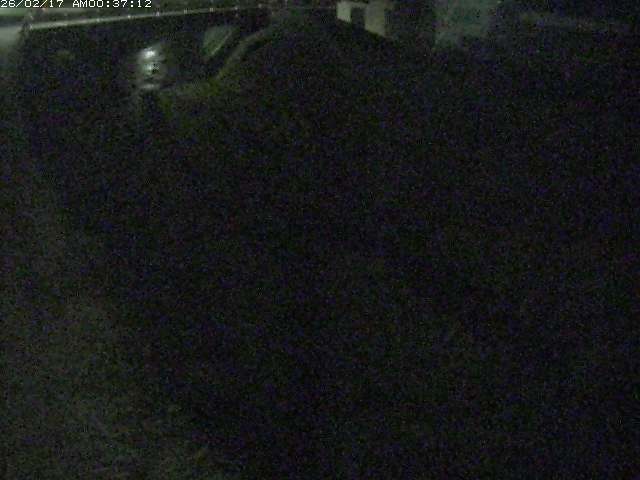 取得できませんでした