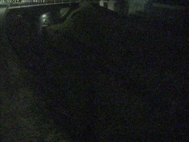 取得できませんでした