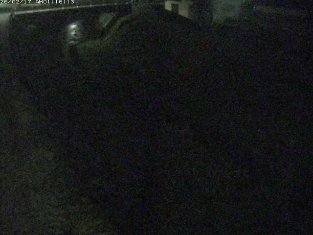 取得できませんでした