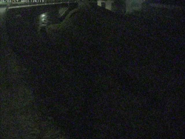 取得できませんでした