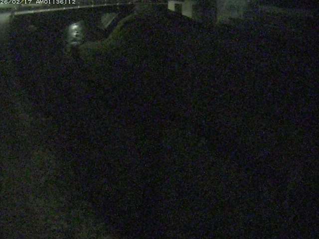 取得できませんでした