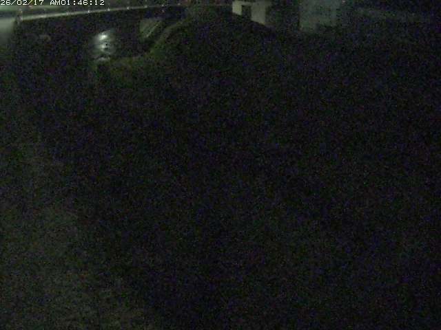 取得できませんでした