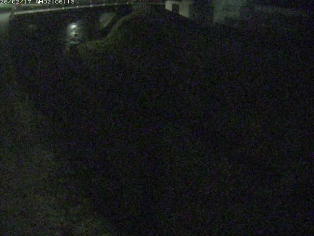 取得できませんでした