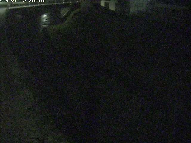 取得できませんでした