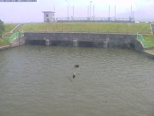 取得できませんでした