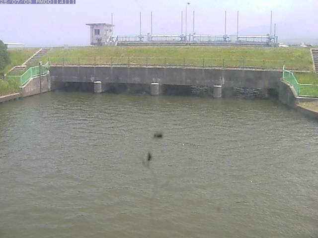 取得できませんでした