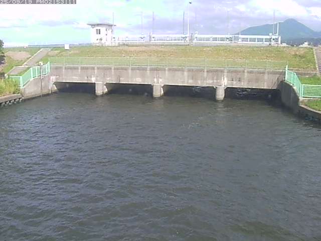 取得できませんでした