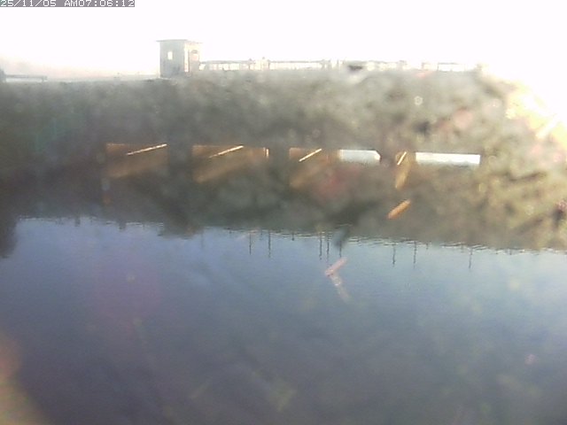 取得できませんでした