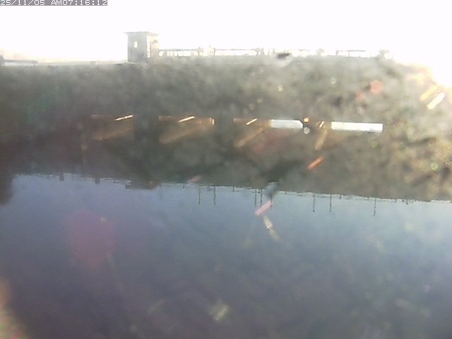 取得できませんでした