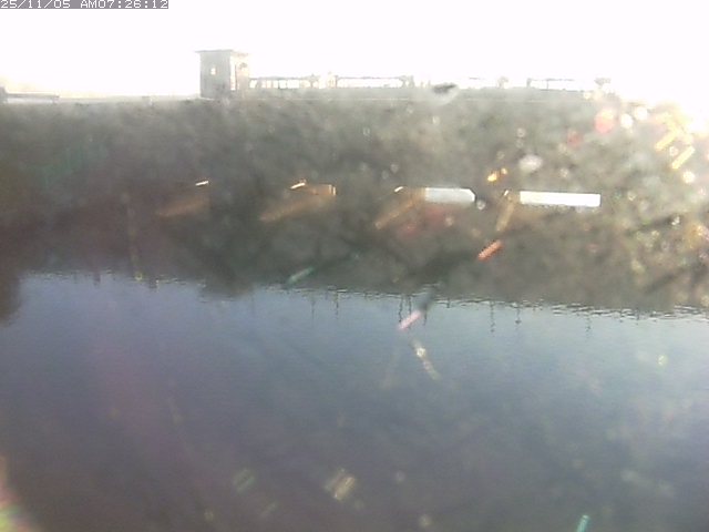 取得できませんでした