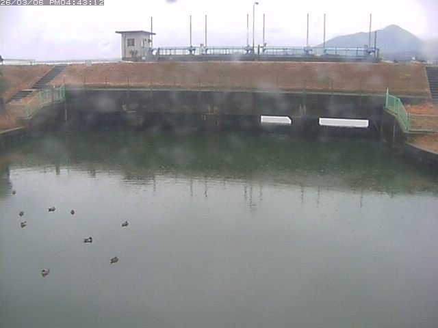 取得できませんでした